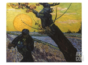 Vincent Van Gogh - Van Gogh  Sower, 1888